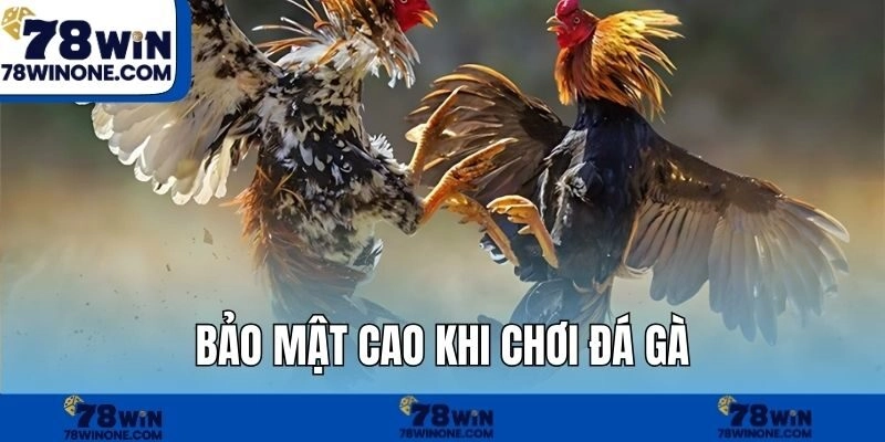 Bảo mật cao khi chơi đá gà