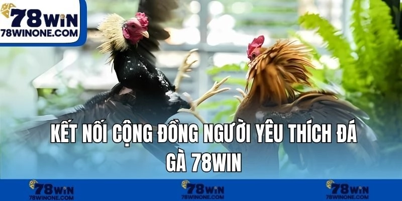 Kết nối cộng đồng người yêu thích đá gà 78WIN