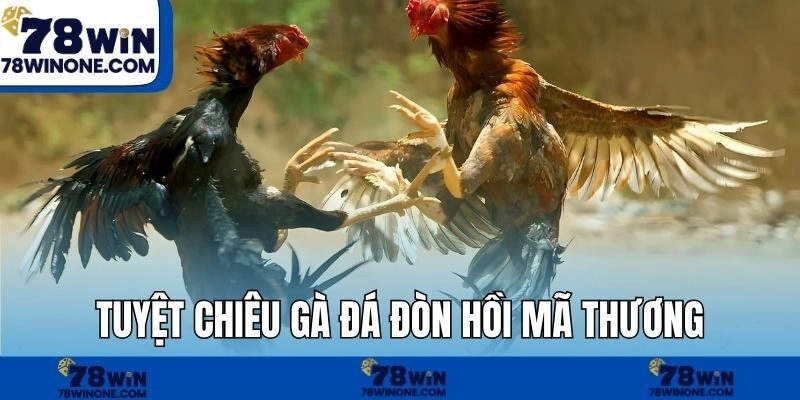 Tuyệt chiêu gà đá đòn hồi mã thương